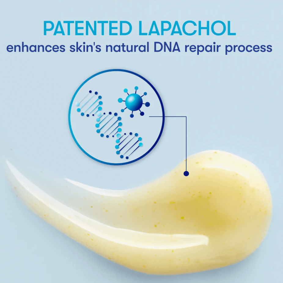 Lapachol DNA Repair Process